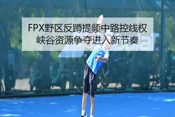 ye-qu-fan-dun-ti-pin-zhong-lu-kong-xian-quan-xia-gu-zi-yuan-zheng-duo-jin-ru-xin-jie-zou-2-963.jpg